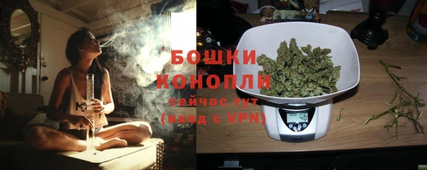 индика Дмитриев