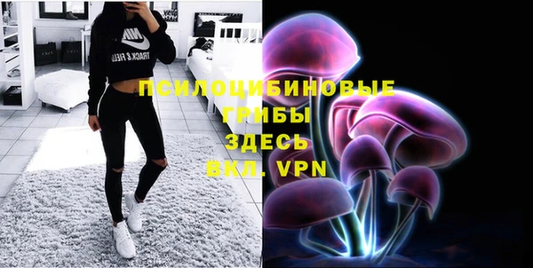 стафф Дмитров