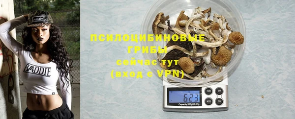 мяу мяу мука Баксан