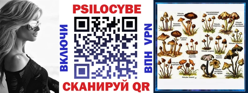 продажа наркотиков  omg зеркало  Псилоцибиновые грибы MAGIC MUSHROOMS  Новодвинск 